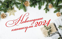 Мероприятия в учреждениях культуры и спорта Советского района в период зимних каникул 2023-2024 гг.